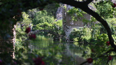 Vista a traves del agua en los Jardines de Ninfa