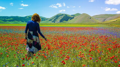 Fiorita en Castelluccio
