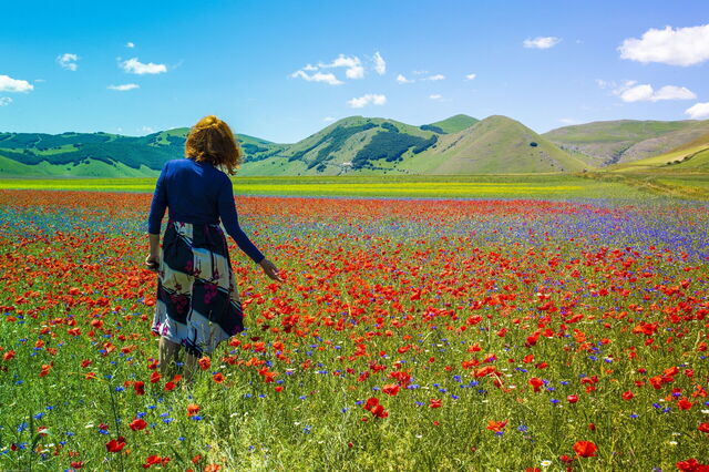 Fiorita en Castelluccio