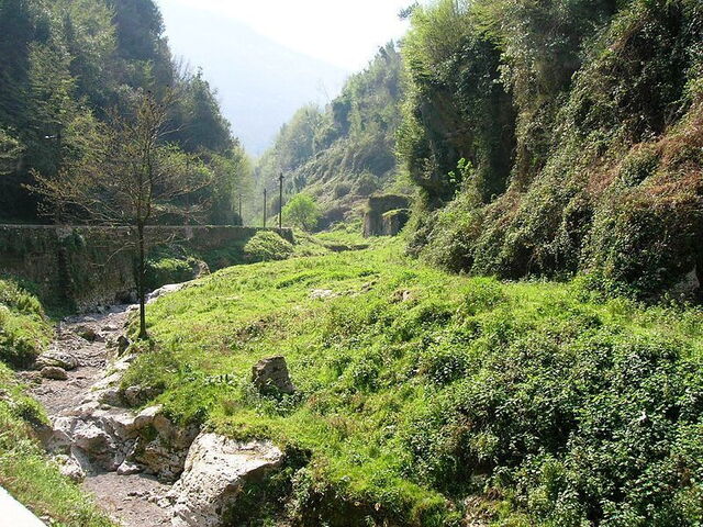 Vegetacion, valle de los molinos