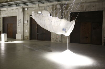 Moby Dick, Damian Ortega