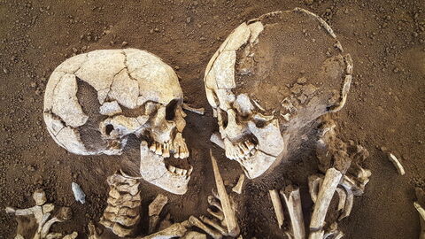 Los amantes de la Valdaro