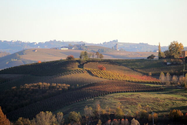 Colinas en las Langhe