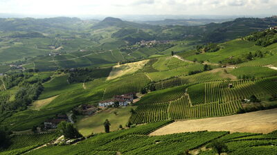 Paisaje en las Langhe