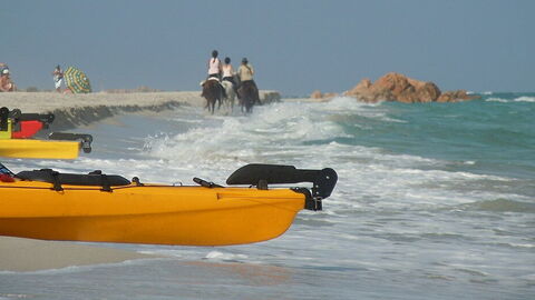 Actividades en la Playa de Berchida
