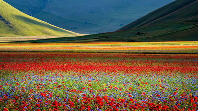 Castelluccio di Norcia