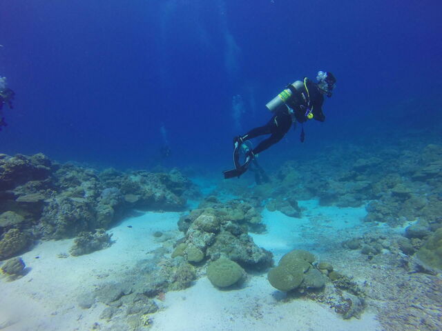 Buceo