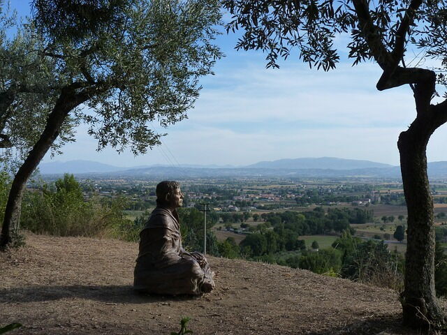 Estatua de San Francisco