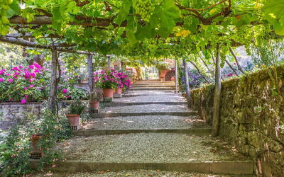 Jardines del Palazzo Rosadi