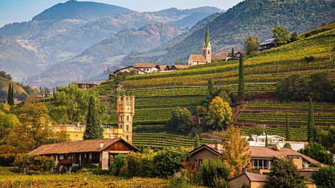 Viñedo de Bolzano en otoño