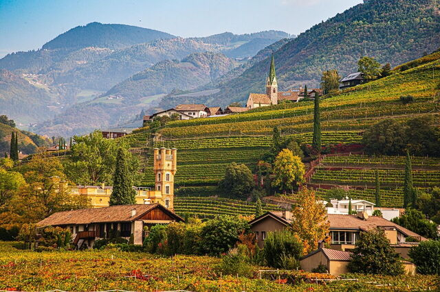 Viñedo de Bolzano en otoño