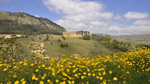 Segesta