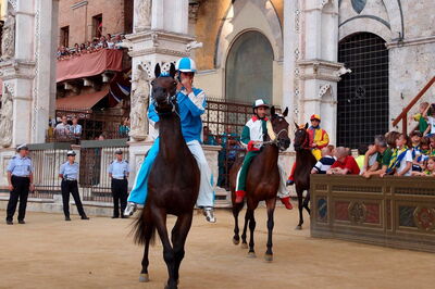 Caballos en el Palio de Siena