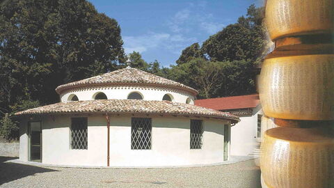 Museo Parmesano