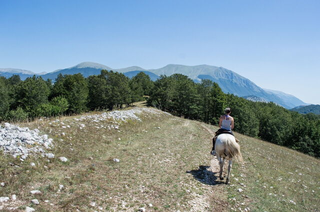 Gran Sasso, equitación