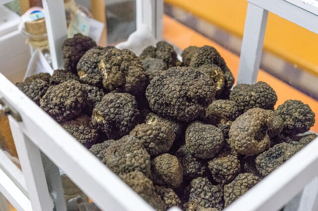 Trufas
