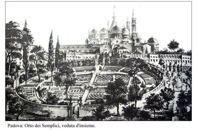 Pintura del siglo XV de los jardines botánicos