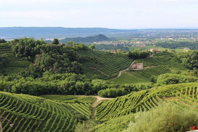 Paisajes alrededor de Treviso