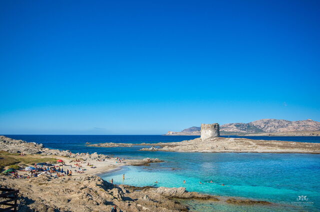 La Pelosa, Torre