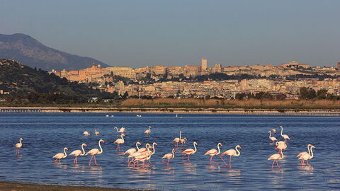 Vista de la costa de Cagliari
