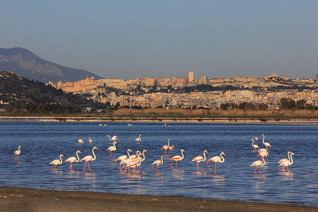 Vista de la costa de Cagliari