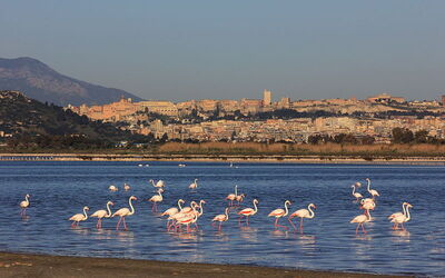 Vista de la costa de Cagliari
