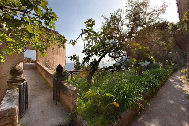 Mansour, jardines