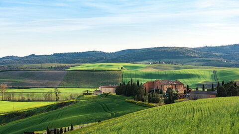 Vista de campos y colinas en la Toscana