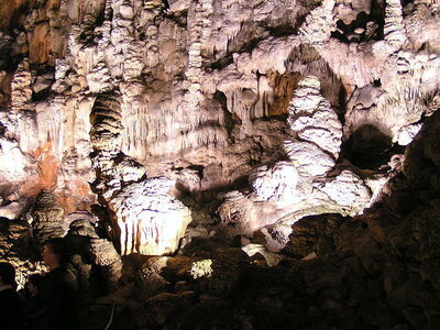 Sección de Grotta Gigante