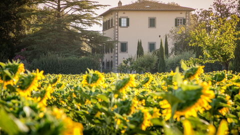 Villa Ivana