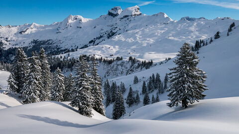Escenas alpinas