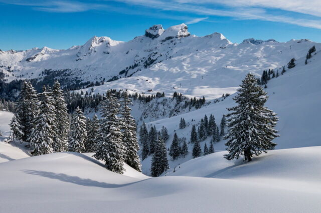 Escenas alpinas