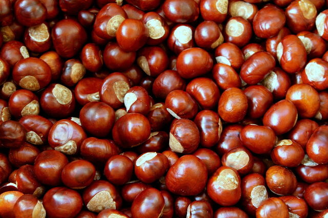 Castañas