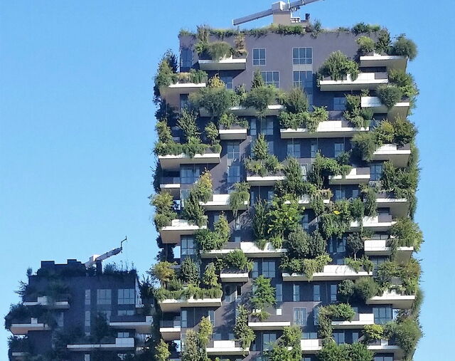 Bosco Vertical