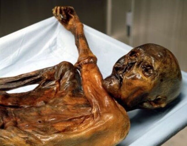 Otzi el hombre de hielo
