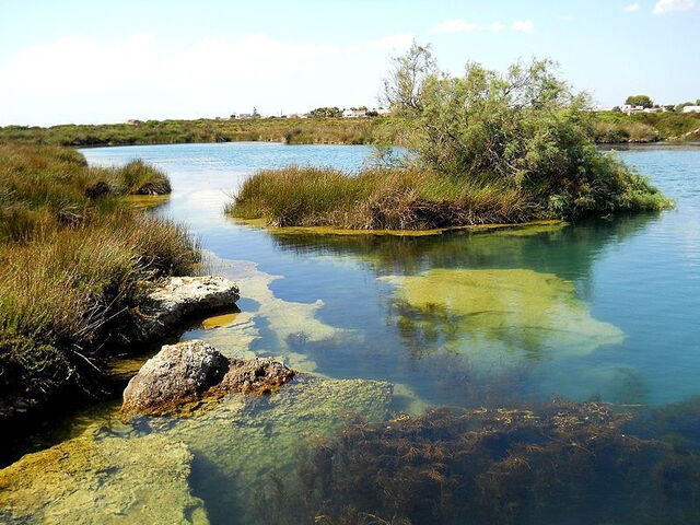 Porto Selvaggio marismas
