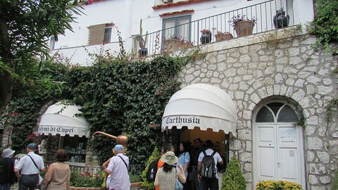 Laboratorio Carthusia