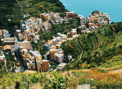 Viñedos de las Cinque Terre