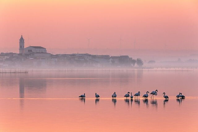 Lago Lesina