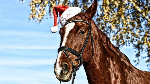 Santa Caballo