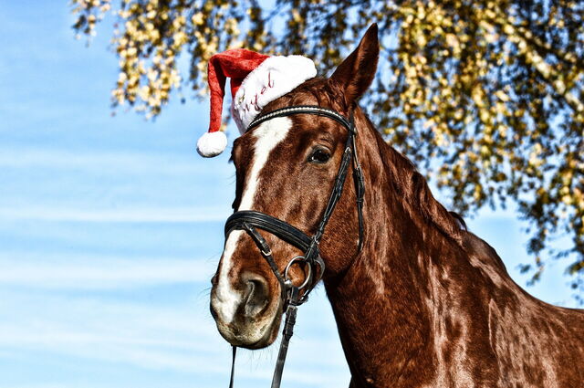 Santa Caballo