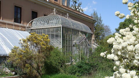 Orto Botanico di Roma