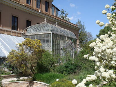 Orto Botanico di Roma