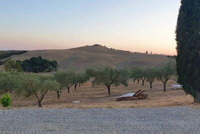 Arboleda, Casa Insieme