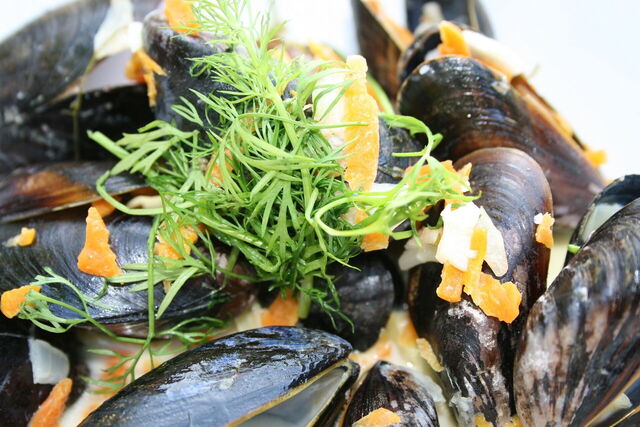 Mejillones