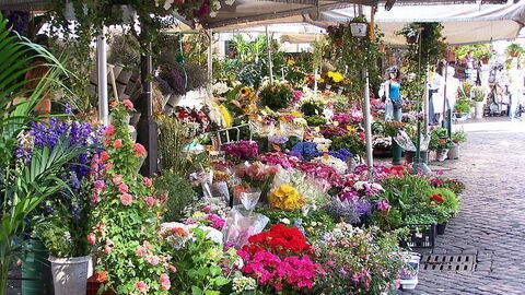 Flores en el Campo de' Fiori