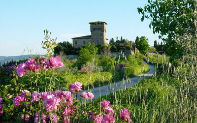 Castello Di Cafaggio