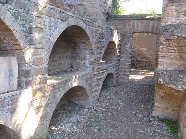 Vigna Randanini