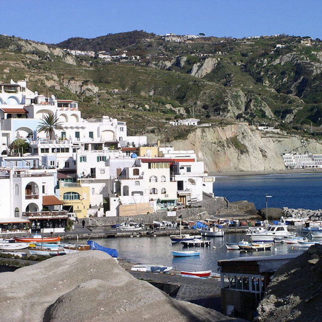 Donna Quinn