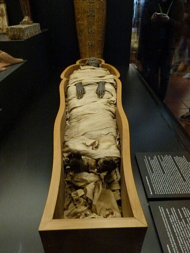 Una momia en el Museo Egipcio